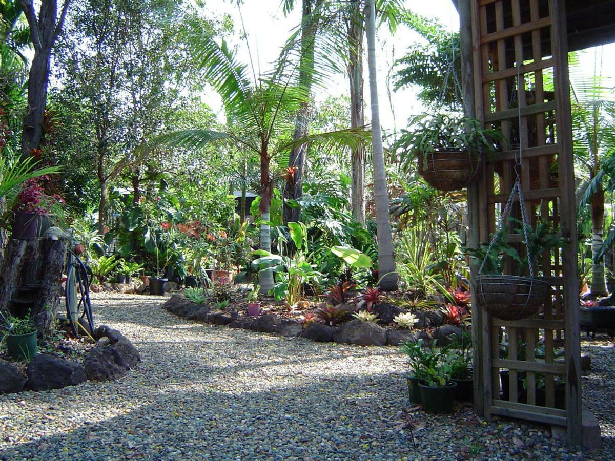 Forest Lodge: Little Villa Agnes Water Esterno foto